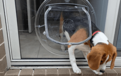 Pet Door Installation in Glass Door Panel