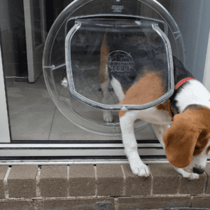 Pet Doors