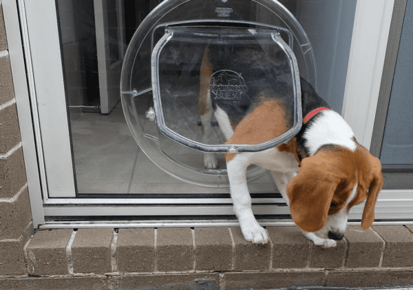 Pet Doors