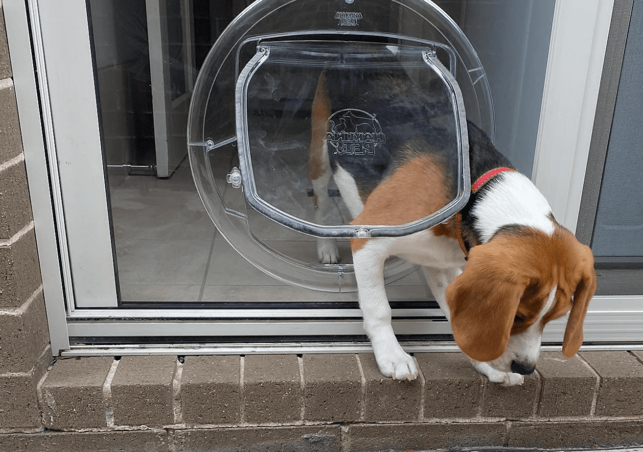 Round hotsell dog door