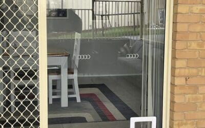 Small Pet Door